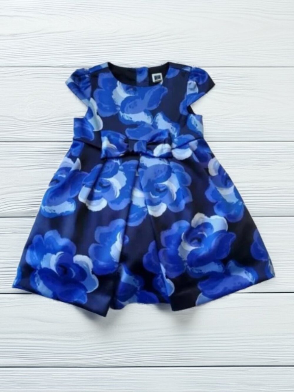 NWOT Janie and Jack Blossom Satin Dress Size 6-12m